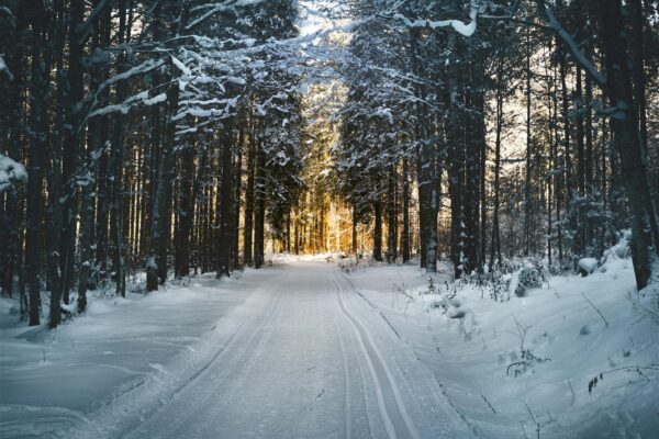 Reopened Boise Trails: Explore Post-Winter Hiking Gems