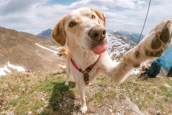 Nationwide Hiking Trail Closures and Restrictions Enacted Amid Safety Concerns.