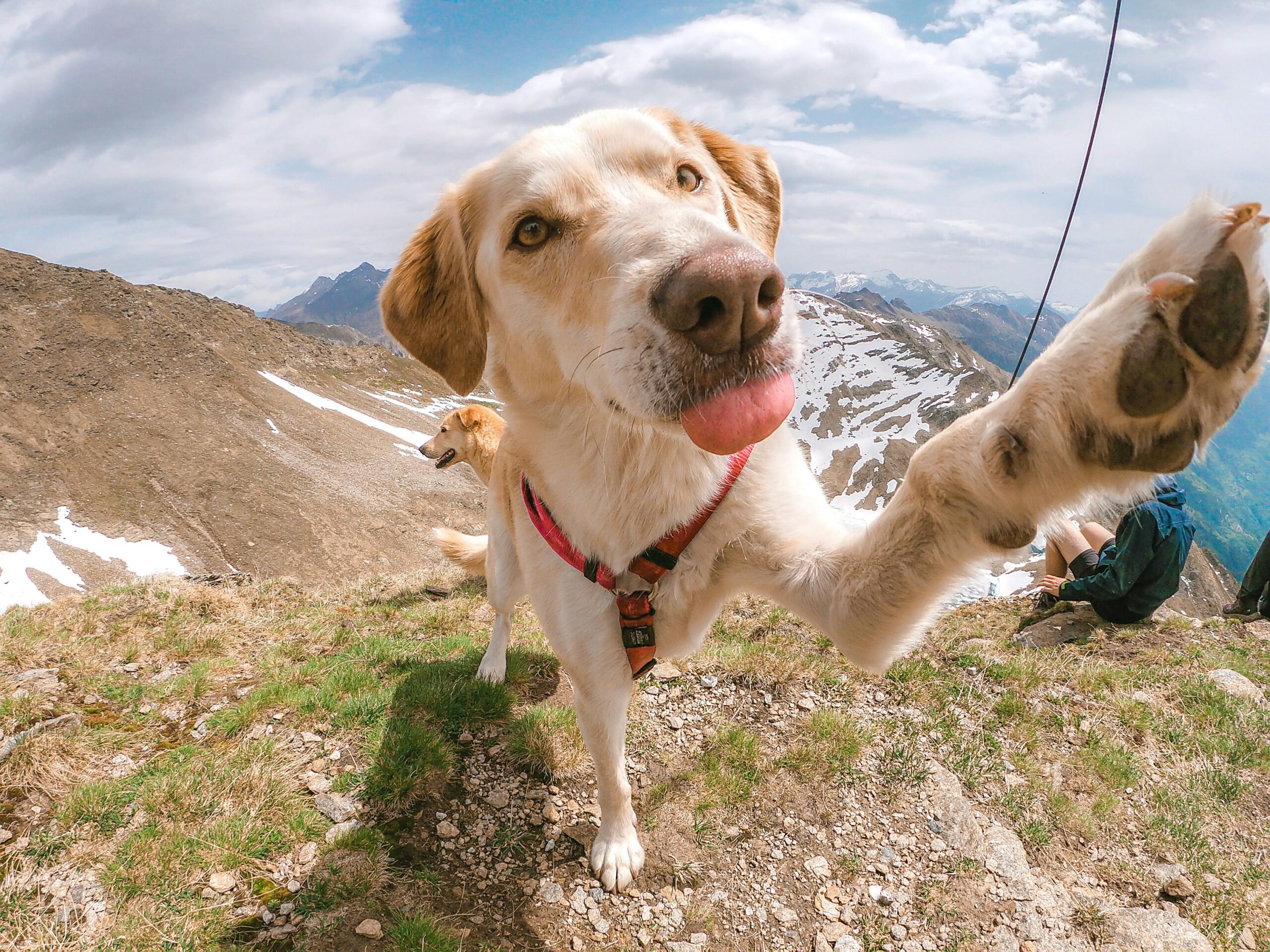 Nationwide Hiking Trail Closures and Restrictions Enacted Amid Safety Concerns.